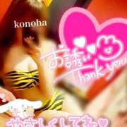 ヒメ日記 2025/11/09 08:59 投稿 このは チューリップ福井本館