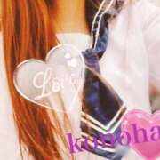 ヒメ日記 2025/11/12 09:44 投稿 このは チューリップ福井本館