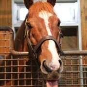 ヒメ日記 2024/12/22 09:31 投稿 Honoka ワンカラット～人妻の輝き～