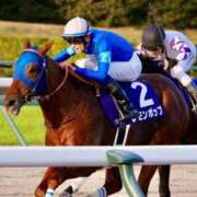 ヒメ日記 2025/01/07 16:10 投稿 Honoka ワンカラット～人妻の輝き～