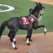 ヒメ日記 2025/01/14 16:28 投稿 Honoka ワンカラット～人妻の輝き～