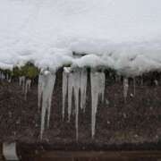 ヒメ日記 2025/02/03 09:01 投稿 Honoka ワンカラット～人妻の輝き～