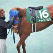 ヒメ日記 2025/02/09 09:34 投稿 Honoka ワンカラット～人妻の輝き～