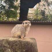 ヒメ日記 2025/03/15 09:15 投稿 Honoka ワンカラット～人妻の輝き～