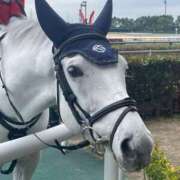 ヒメ日記 2025/03/16 19:50 投稿 Honoka ワンカラット～人妻の輝き～