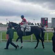 ヒメ日記 2025/03/21 08:30 投稿 Honoka ワンカラット～人妻の輝き～