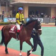 ヒメ日記 2025/03/23 07:15 投稿 Honoka ワンカラット～人妻の輝き～