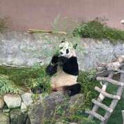 ヒメ日記 2025/03/25 07:15 投稿 Honoka ワンカラット～人妻の輝き～