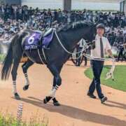 ヒメ日記 2025/04/30 09:04 投稿 Honoka ワンカラット～人妻の輝き～