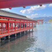 ヒメ日記 2025/05/03 09:18 投稿 Honoka ワンカラット～人妻の輝き～