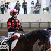 ヒメ日記 2025/05/04 16:02 投稿 Honoka ワンカラット～人妻の輝き～