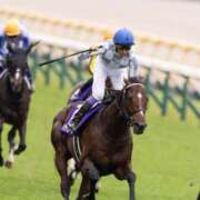 ヒメ日記 2025/05/07 14:15 投稿 Honoka ワンカラット～人妻の輝き～