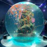 ヒメ日記 2025/05/13 08:56 投稿 Honoka ワンカラット～人妻の輝き～