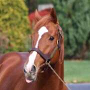 ヒメ日記 2025/05/14 12:15 投稿 Honoka ワンカラット～人妻の輝き～