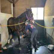 ヒメ日記 2025/05/22 09:13 投稿 Honoka ワンカラット～人妻の輝き～