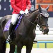 ヒメ日記 2025/06/05 09:12 投稿 Honoka ワンカラット～人妻の輝き～