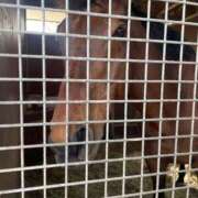 ヒメ日記 2025/06/05 14:44 投稿 Honoka ワンカラット～人妻の輝き～