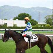 ヒメ日記 2025/06/06 07:00 投稿 Honoka ワンカラット～人妻の輝き～