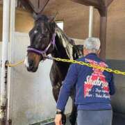 ヒメ日記 2025/06/08 07:15 投稿 Honoka ワンカラット～人妻の輝き～