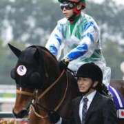 ヒメ日記 2025/06/11 08:29 投稿 Honoka ワンカラット～人妻の輝き～