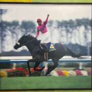 ヒメ日記 2025/06/12 13:15 投稿 Honoka ワンカラット～人妻の輝き～