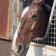 ヒメ日記 2025/06/17 08:45 投稿 Honoka ワンカラット～人妻の輝き～