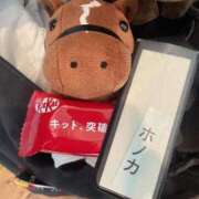 ヒメ日記 2025/07/11 07:12 投稿 Honoka ワンカラット～人妻の輝き～