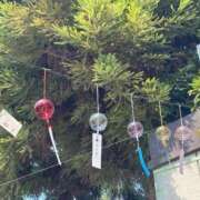 ヒメ日記 2025/07/19 09:12 投稿 Honoka ワンカラット～人妻の輝き～