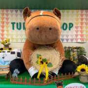 ヒメ日記 2025/07/30 06:45 投稿 Honoka ワンカラット～人妻の輝き～