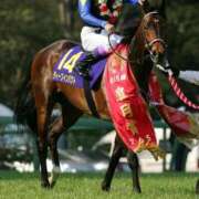 ヒメ日記 2025/07/30 12:16 投稿 Honoka ワンカラット～人妻の輝き～