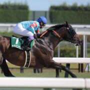 ヒメ日記 2025/07/31 15:59 投稿 Honoka ワンカラット～人妻の輝き～