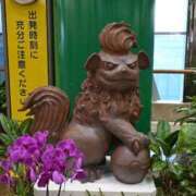 ヒメ日記 2025/08/08 11:12 投稿 Honoka ワンカラット～人妻の輝き～