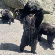 ヒメ日記 2025/08/09 05:42 投稿 Honoka ワンカラット～人妻の輝き～