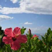 ヒメ日記 2025/08/16 09:11 投稿 Honoka ワンカラット～人妻の輝き～