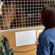 ヒメ日記 2025/08/18 07:45 投稿 Honoka ワンカラット～人妻の輝き～