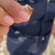 ヒメ日記 2025/09/06 09:13 投稿 Honoka ワンカラット～人妻の輝き～