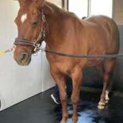 ヒメ日記 2025/09/10 07:00 投稿 Honoka ワンカラット～人妻の輝き～