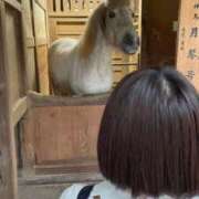 ヒメ日記 2025/09/18 09:07 投稿 Honoka ワンカラット～人妻の輝き～