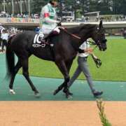 ヒメ日記 2025/10/05 08:03 投稿 Honoka ワンカラット～人妻の輝き～