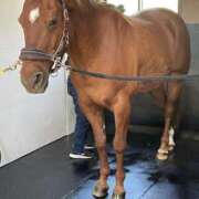 ヒメ日記 2025/10/20 07:35 投稿 Honoka ワンカラット～人妻の輝き～