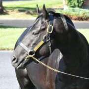 ヒメ日記 2025/10/25 17:00 投稿 Honoka ワンカラット～人妻の輝き～