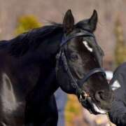 ヒメ日記 2025/11/01 09:05 投稿 Honoka ワンカラット～人妻の輝き～