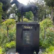 ヒメ日記 2025/11/17 10:06 投稿 Honoka ワンカラット～人妻の輝き～