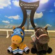 ヒメ日記 2025/12/08 05:50 投稿 Honoka ワンカラット～人妻の輝き～