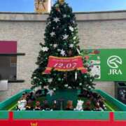 ヒメ日記 2025/12/25 08:31 投稿 Honoka ワンカラット～人妻の輝き～