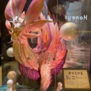 ヒメ日記 2026/02/25 10:15 投稿 Honoka ワンカラット～人妻の輝き～