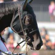 ヒメ日記 2026/03/01 18:42 投稿 Honoka ワンカラット～人妻の輝き～