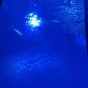 ヒメ日記 2026/01/23 21:52 投稿 のぞみ エンジェルハンズ