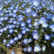 ヒメ日記 2026/04/20 19:54 投稿 のぞみ エンジェルハンズ