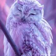 ヒメ日記 2025/01/12 21:38 投稿 みらい 丸妻 横浜本店